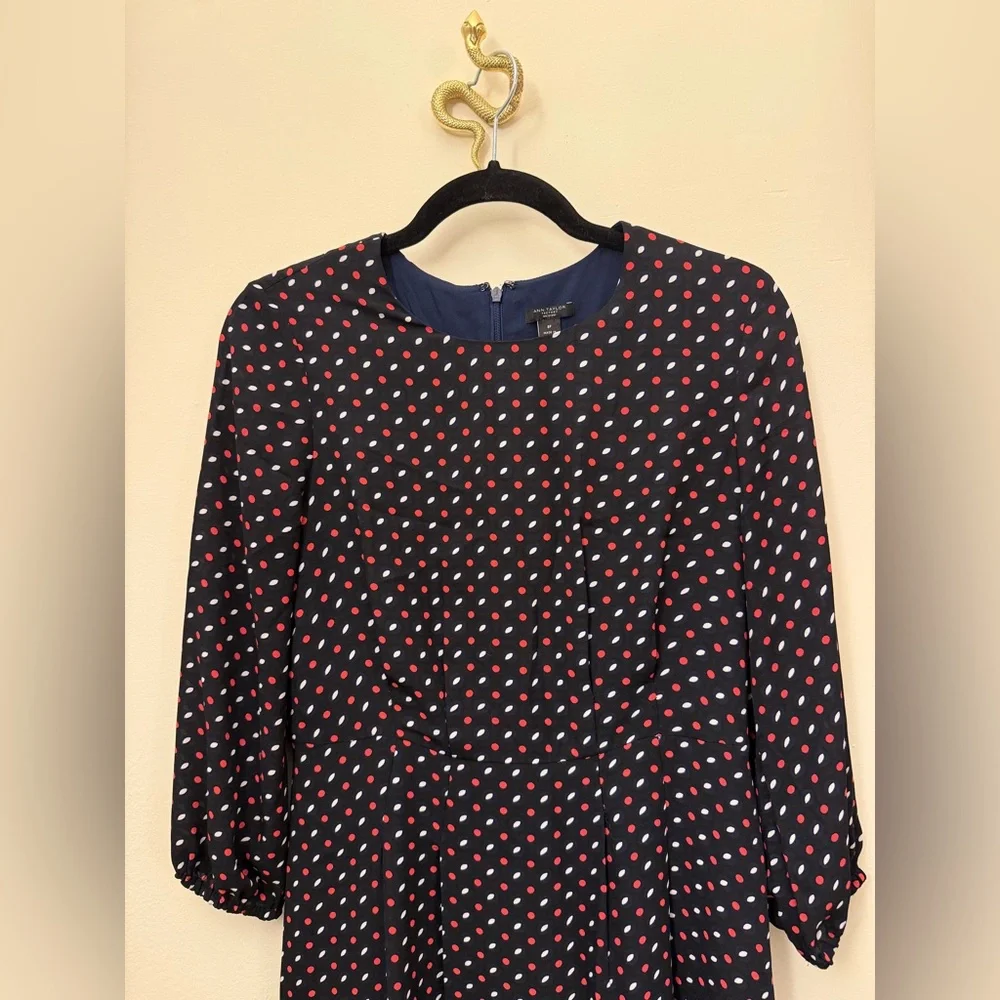 Ann Taylor Polka Dot Dress - Picture 2 of 3
